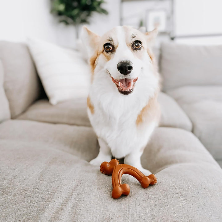 Ergonomic Hold Wishbone Power Chew Toy for Dogs, Dog Toys for Aggressive Chewers, Bison Flavor, Small - up to 25 Ibs, 1 Count